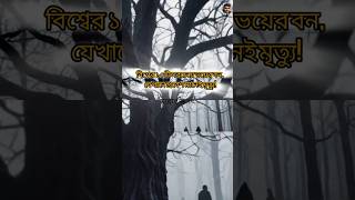 বিশ্বের ১০টি সবচেয়ে ভয়ের বন, যেখানে প্রবেশ মানেই মৃত্যু!#shorts #facts