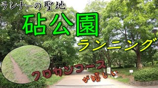 【砧公園ランニング】トップランナーや箱根駅伝常連校も練習で使用するクロカンコースがある砧公園をランニングしました！