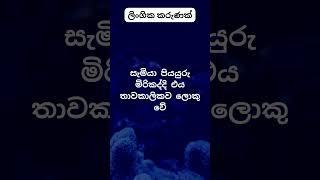 දන්නවද එයාලට වෙලා තියෙන දේ 😍😍. #psychology  #education #shorts