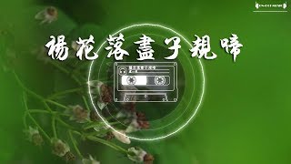 盧壹帆-楊花落盡子規啼『楊花落盡子規啼，聞道龍標過五溪』華語流行音樂