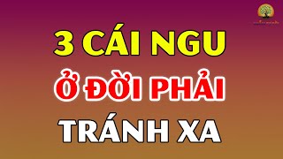 3 CÁI NGU ở đời người KHÔN NGOAN nên tránh CÀNG XA CÀNG TỐT