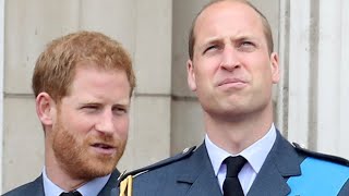 The Truth About Prince William And Prince Harry's Feud Revealed