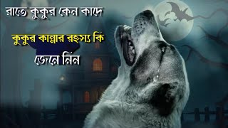 মাঝরাতে কুকুর কেন কাঁদে? অন্ধবিশ্বাস না বিজ্ঞান, কোনটি যুক্তিযুক্ত!😱😱Why do Dogs Crying at Night?👻👻👻