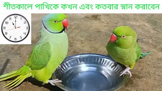 শীতকালে পাখিকে কখন এবং কতবার স্নান করাবেন / How to bath your parrot in winter season