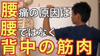 【成田市　腰痛】身体を回転すると腰が痛い時のセルフケア②〈背中編〉