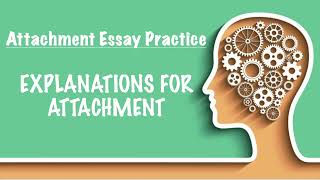 ESSAY PRACTICE - Explaining Attachment