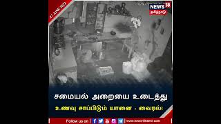 #Elephant Breaks Kitchen For Food - #Viralvideo | சமையல் அறையை உடைத்த யானை | Nilgiris Masinagudi