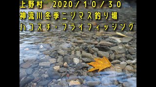 上野村神流川ハコスチ・フライフィッシング20201030