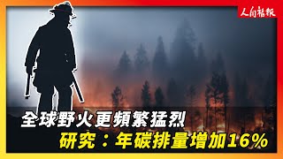 惡性循環！全球野火更頻繁猛烈　每年碳排放量增加16%