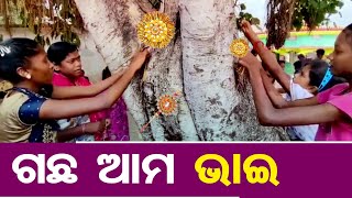 ଗଛ ଆମ ଭାଇ | Odisha Reporter