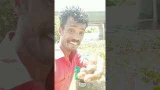 உங்கள் கிராமத்து ஜோடி