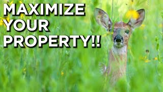 Are You Utilizing ALL The Habitat On Your Property?!