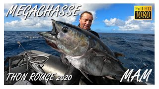 127🐟 MEGACHASSE 🐟🐟 Red tuna BLUEFIN \u0026 skipjack spearfishing on a gigantic hunt! 2020