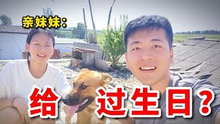 给亲妹妹100元，让她给咱家农村小土狗过生日，会有多搞笑？