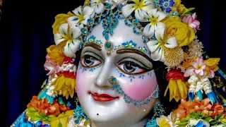 #Crazyharidas. Hare Krishna Kirtan হরিনাম সংকীর্তন (নদিয়া কির্তন।)