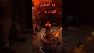 Krishnanagar er Maa Jaleshwari | Dhuno Pora  #jagadhatriapuja #dhunopora #krishnanagar