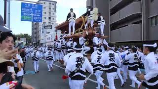 岸和田だんじり祭2023 岸和田市制100周年曳行 並松町 帰町