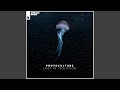 Beneath The Surface