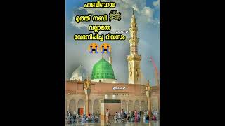 ഹബീബായ മുത്ത് നബി ﷺ വല്ലാതെ വേദനിപ്പിച്ച ദിവസം😭😭