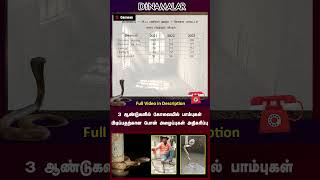 3 ஆண்டுகளில் கோவையில் பாம்புகள் பிடிப்பதற்கான போன் அழைப்புகள் அதிகரிப்பு