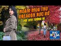 Ngắm cận cảnh mùa thu Oreagon lá đổi màu rực rỡ với BTV Tường Vi