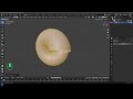 make a shell in blender 4.3 beginners