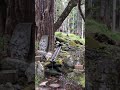 早池峰山南参道 遠野の早池峰神社