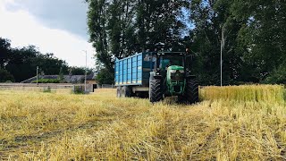 Wholecrop 2021 ~ Dunphy Agri