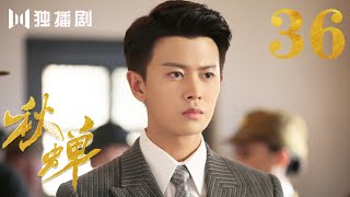 【English Sub】秋蝉 36 | Autumn Cicada 36（主演：任嘉伦、李曼、张涵予、李小冉、王劲松、韩栋、刘欢、何杜娟、菅纫姿）-未删减版-