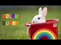 Colour Bunny | Story to teach colours | Story for Pre Schoolers | English Story