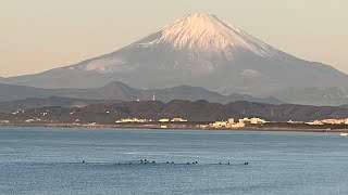 【鵠沼海岸】2024.12.20(金)AMスネヒザ