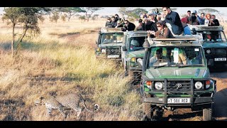 🔴#LIVE: Afariki akishindana kuogelea   I Watalii waanza kujazana baada ya Royal Tour  19/05/2022