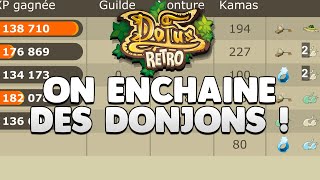 Team de zéro rétro #83 On fait des nouveaux donjons + drop ! Allisteria [DOFUS RETRO]