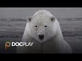 Trade Secret | Official Trailer | DocPlay