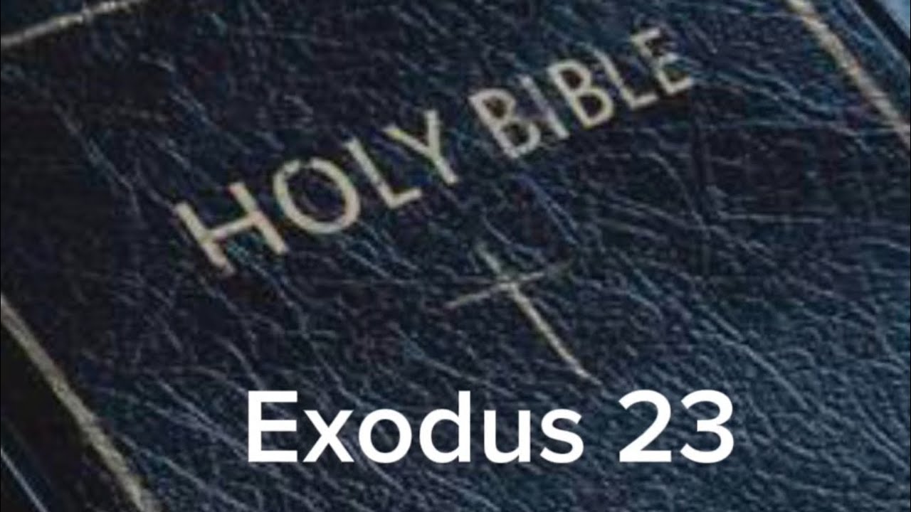 Exodus 23 Niv The Audio Bible Youtube