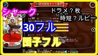 【城ドラ実況】シャークを30フル団子フルにする為に必要な物全て