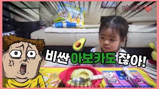 미니쭈쭈 Vlog | 아보카도 먹방(쭈쭈 9개월 \u0026 32개월 차이), 강아지와 아기 간식 먹방 | Yummy snack time