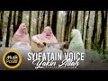 Syifatain Voice - Yakin Allah (Official Music Video)