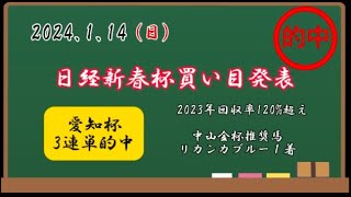 【日経新春杯】日経新春杯買い目発表！愛知杯と日経新春杯ダブル的中して見せます！