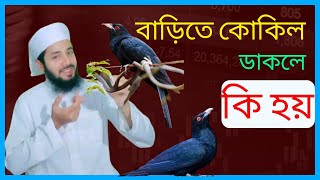 বাড়িতে কোকিল ডাকলে কি হয় | কোকিল ডাকলে কি হয় ইসলাম কি বলে | বাড়িতে কোকিল আসলে কি হয় |Study tips