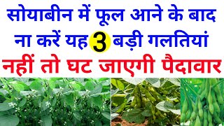 सोयाबीन फुल आने की अवस्था में यह 3 गलतियां भूल कर भी ना करें | soyabean