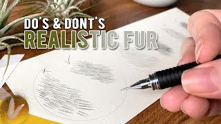 Drawing Fur Do's and Don'ts With Pencil - How To Draw Realistic Fur Tutorial