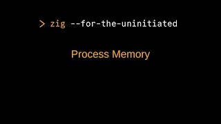 Zig for the Uninitiated: Understanding Process Memory