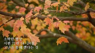 [물댄동산교회] 소박한 밥상 | 11월 15일(금) 김용귀 목사