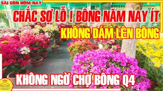 LẠ LẮM ! KHÔNG CÒN NHƯ XƯA / Tình Hình Chợ Hoa Tết Quận 4 KHÁNH HỘI / Sài Gòn Hôm Nay