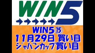 【競馬】泰河の勝負馬券　ＷＩＮ５　１１月２９日買い目確定編　【予想】ＷＩＮ５勝負とジャパンカップ買い目