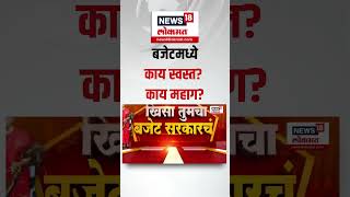 Union Budget 2025 : बजेटमध्ये काय झालं स्वस्त? काय झालं महाग? पाहा ग्राफिक्सच्या माध्यमातून