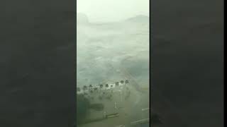 台风山竹【珠海登陆】实拍 Typhoon Mangkhut real shoot