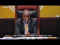Ad Hoc Committee | Mkhwanazi returns to the committee