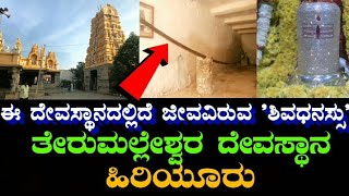 Terumalleshwara Temple | Hiriyur | Chitradurga | ತೇರುಮಲ್ಲೇಶ್ವರ | ಹಿರಿಯೂರು | Hiriyur Jatre | HYR |